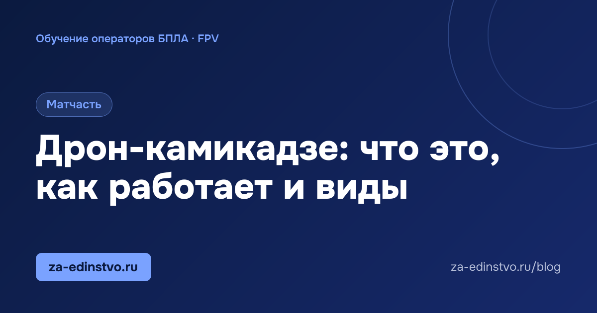 Дрон-камикадзе: что это, как работает и виды